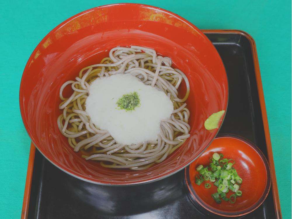 とろろぶっ掛け そば/うどん